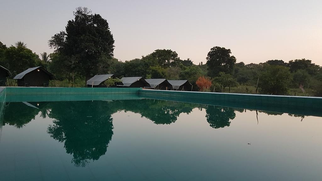 Wild Panthera Yala Tissamaharama Exterior photo