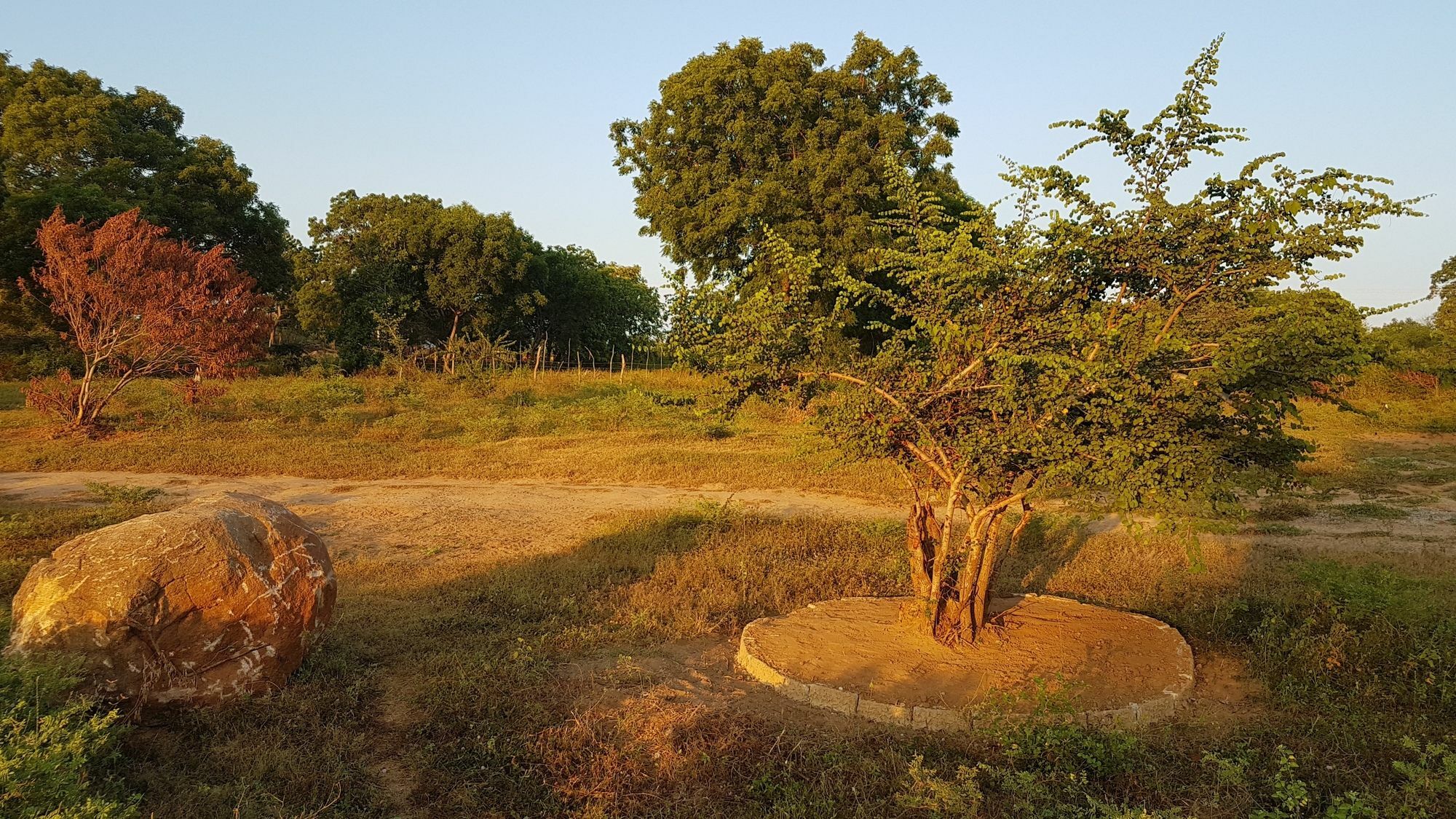 Wild Panthera Yala Tissamaharama Exterior photo